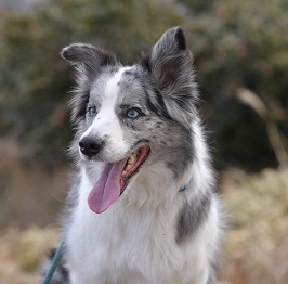 ���΁@�L�[�X�i�{�[�_�[�R���[�j